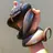 Disco Snake