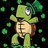 Irish Turtle