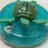 Turtle Soap