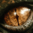 Snake Eyes