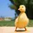 babyduck
