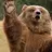 I like bears