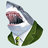DapperShark