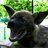 Spooky Hyena