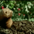 Sad and Lonely Earthworm