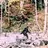 Bigfoot