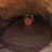 ajsmonk