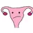 Jeremy's Uterus