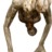 Aglaophotis