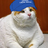 Fattest Cat in the World