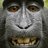 LettuceWrappedMonkey