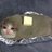Baked Potato