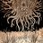 Shub-Niggurath