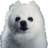 WeWuzWolvez