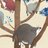 Cat in Tree