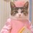 kittywidget