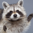Raccoonery