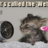 Catspazz
