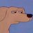 Suspicious dog