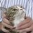 SquishThatCat