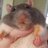 Spaghetti Rat