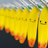 BananaSplit