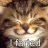 MyCatIsFarty