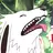 Strayserval