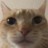 Mooner