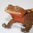 An overtly sexual gecko