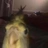 fuzzdew