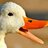 TemptationDuck