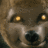 Wetnose