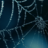 Brutal Cobweb