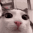 Plink