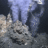 hydrothermal vent