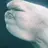 Baby Beluga