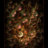 Yog Sothoth