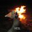 wildgoose