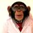 Professor Monkey