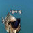 Fire_Moster