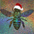 Apis mellifera