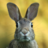 sickrabbitman