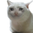 Mr.Nya