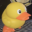 Ducky Momo