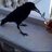 beboper