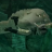 Crocodoom