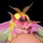 angry moth noises