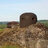 Maginot
