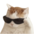 AdobePhotoshop